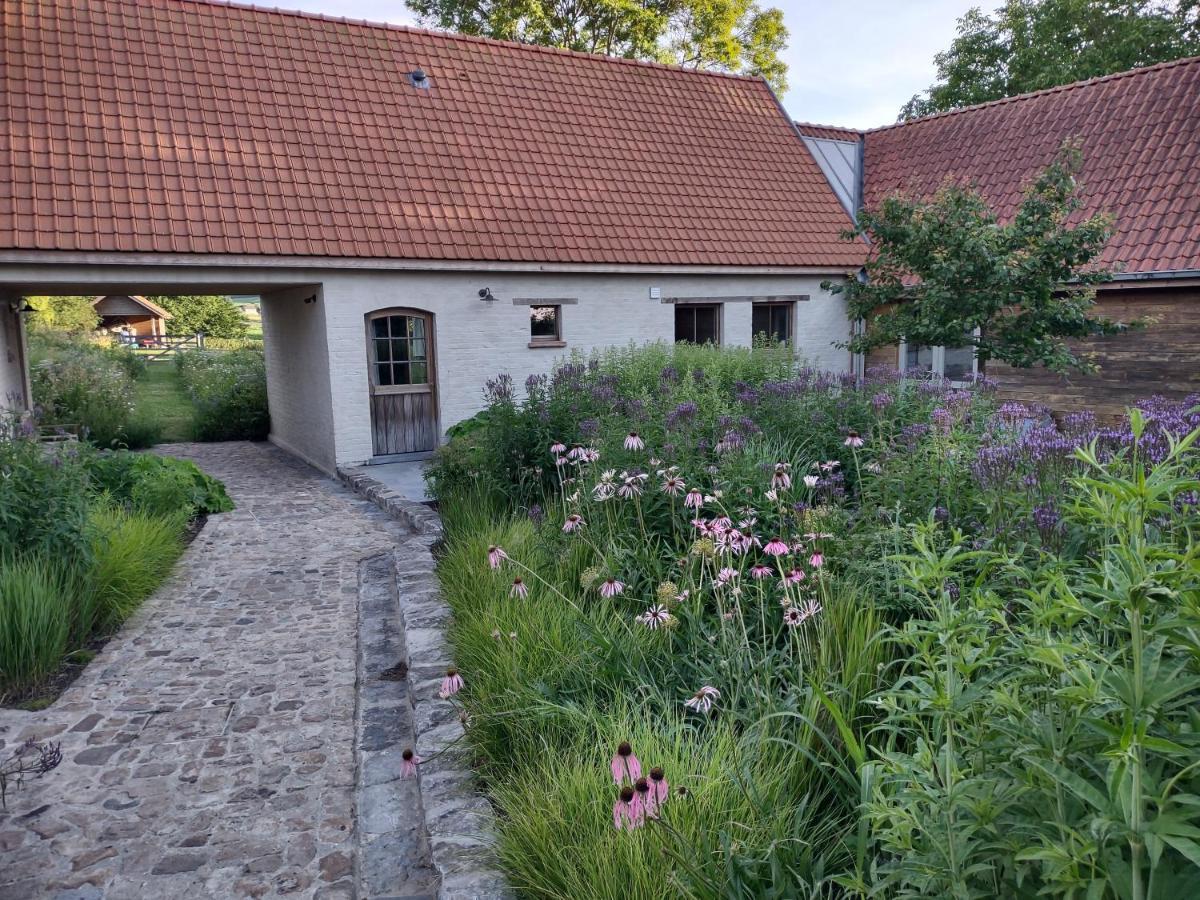 Nachtegael Zomerhuis, Idyllische Woning In De Vlaamse Ardennen Kluisbergen