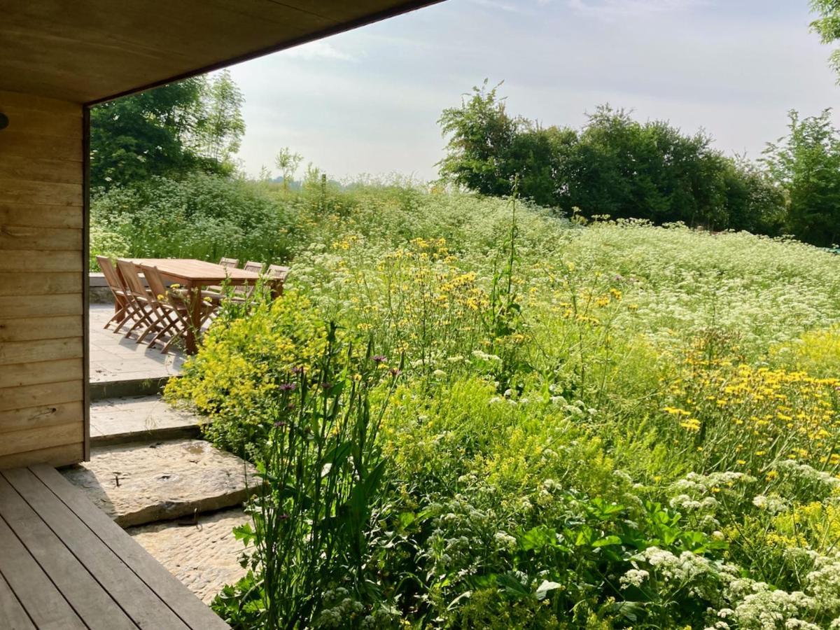Nachtegael Zomerhuis, Idyllische Woning In De Vlaamse Ardennen *