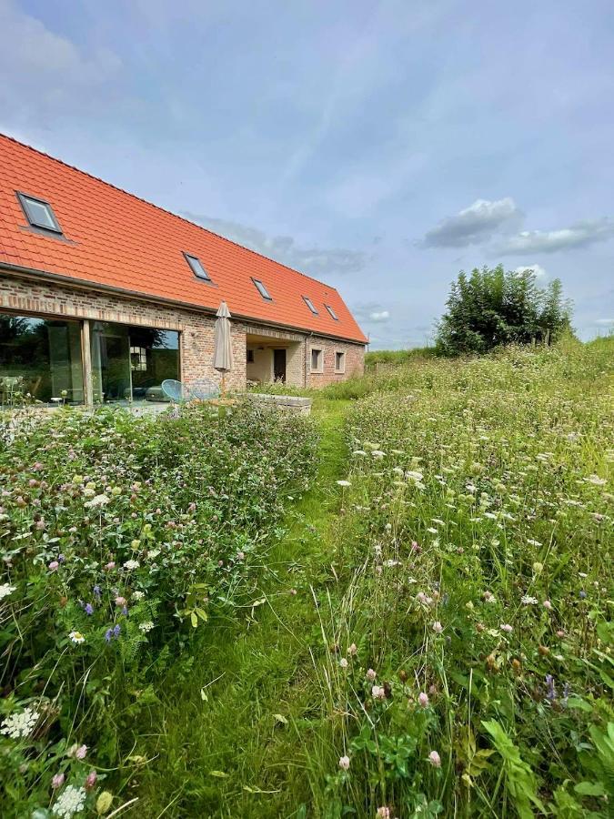 Nachtegael Zomerhuis, Idyllische Woning In De Vlaamse Ardennen *