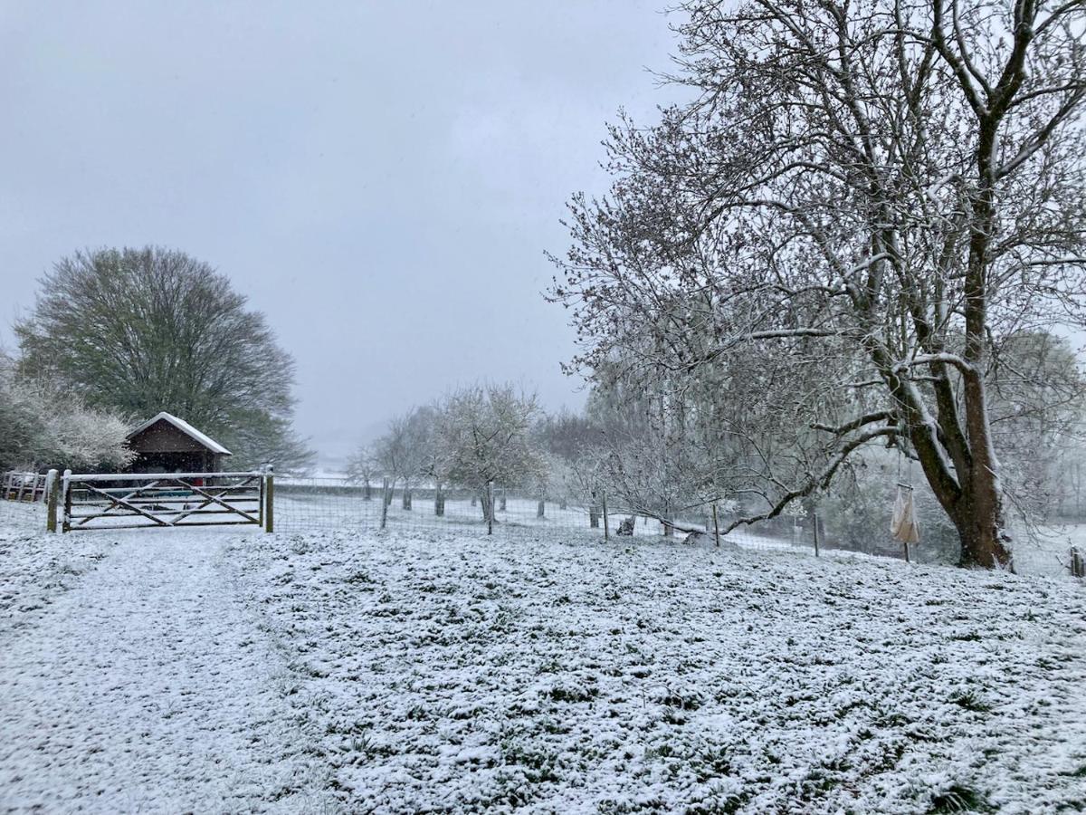 Nachtegael Zomerhuis, Idyllische Woning In De Vlaamse Ardennen Casa de Férias Kluisbergen